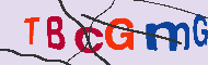 Codice captcha