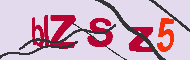 Codice captcha